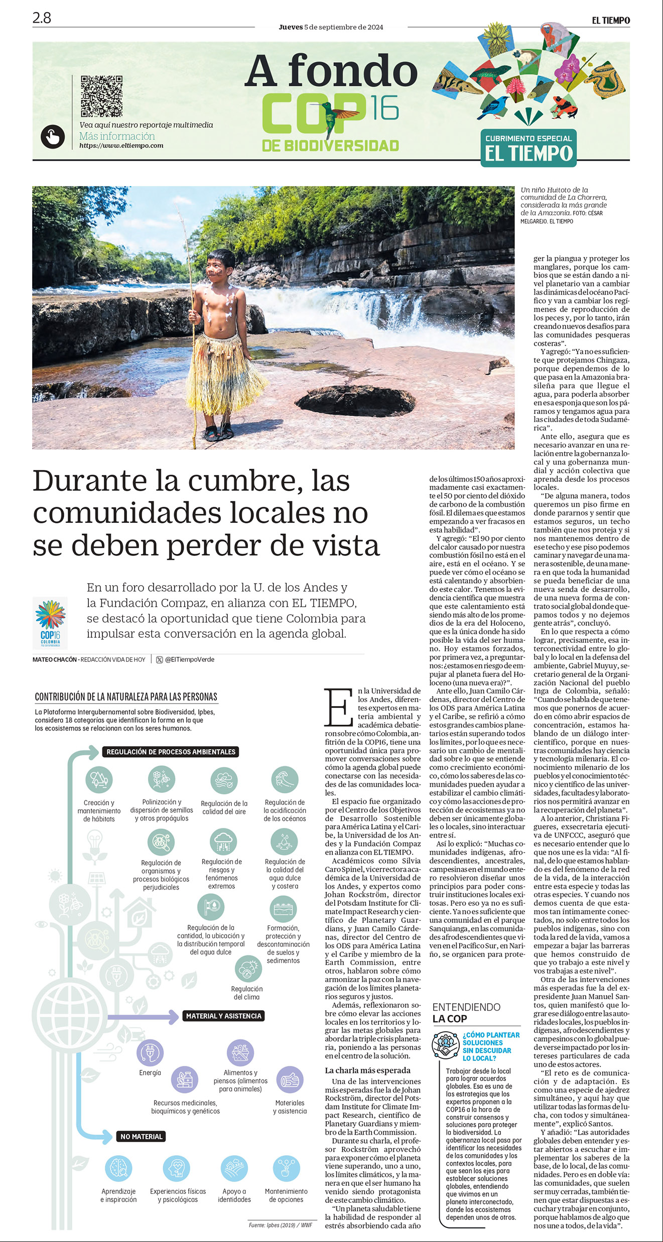 De a poco, la deforestación va destruyendo el bosque virgen de la Amazonia, sin que nada pueda frenarla.